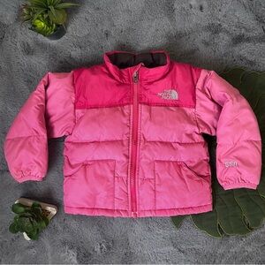 The North Face Kids Pink Ombre Puffer Jacket